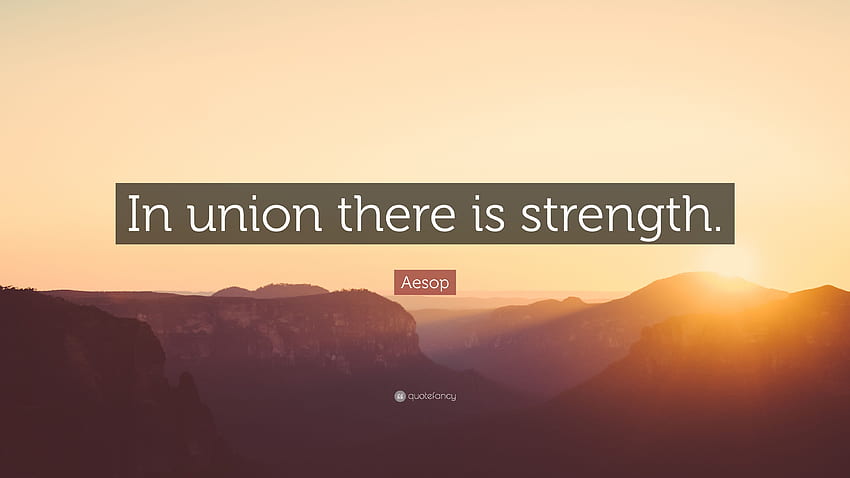 Aesop Quote: “In union there is strength.” 12, Strenght HD wallpaper