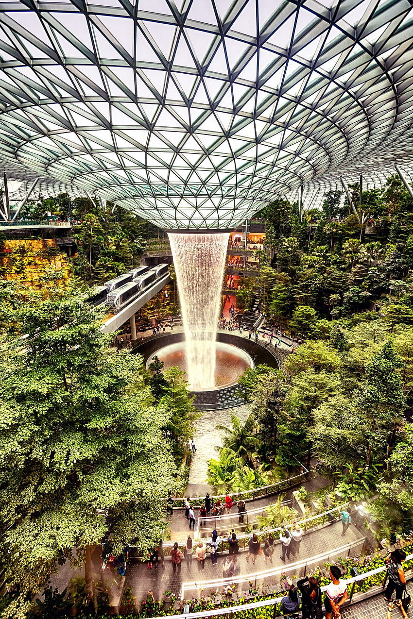 Singapore: New Jewel Changi Airport is a treat for jungle lovers []. Architectural Digest India HD phone wallpaper