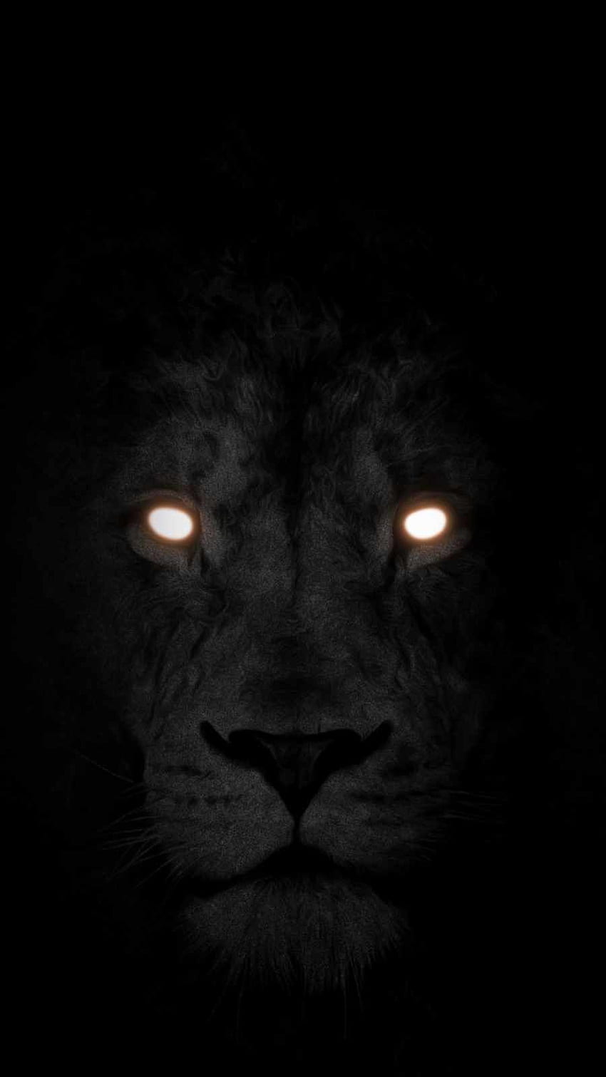 Black Tiger Eyes, Eyes in Dark iPhone HD phone wallpaper