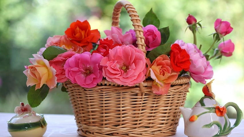 Basket, Roses, Flowers, Nature, Baskets, Flower, Rose HD wallpaper