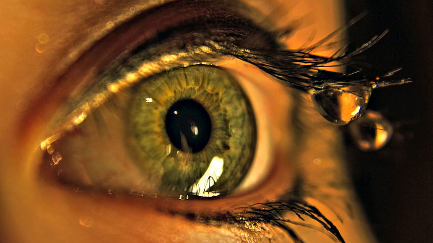 eye, drops, macro, eyelashes ultrawide monitor background, Gold Eyelash HD wallpaper