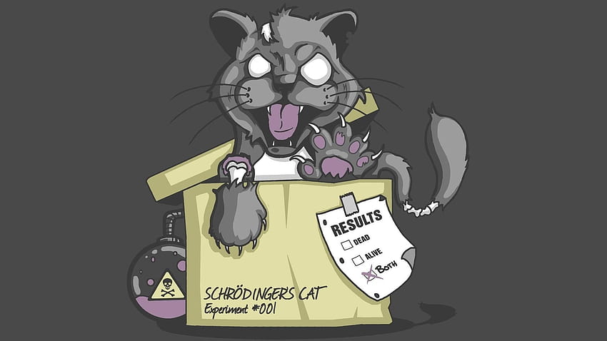 Schrödinger's cat: A thought experiment in quantum mechanics - Chad HD ...