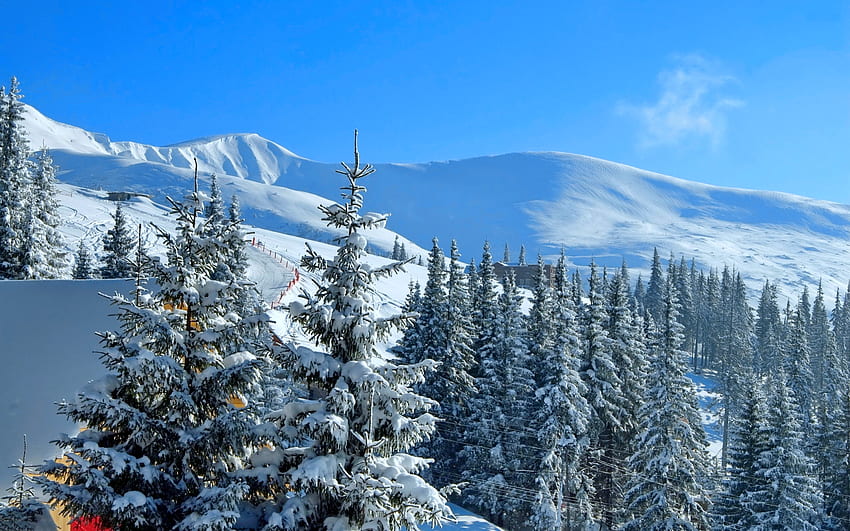 Clear sky over snowy mountain, winter, hills, beautiful, mountain, snow, ski, sky, clear, landscaoe, forest, resort HD wallpaper