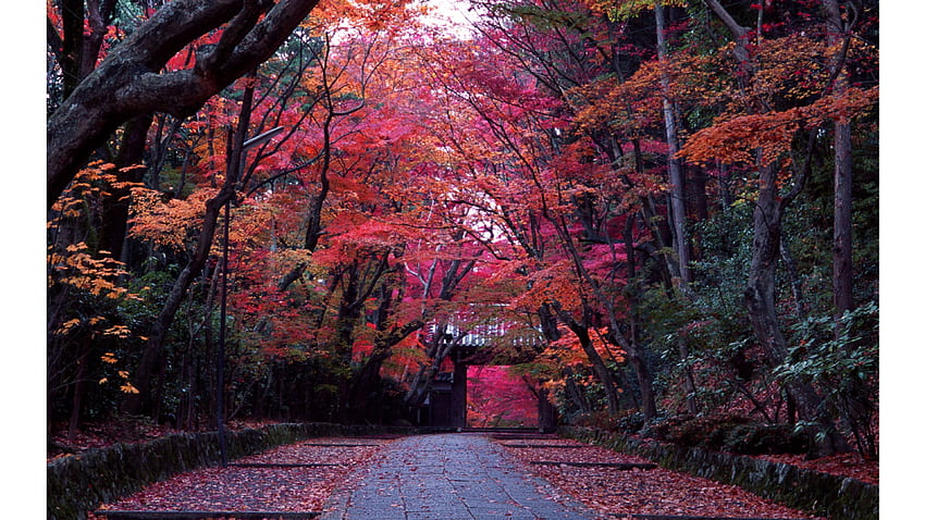 Japan - Collections, Kyoto HD wallpaper | Pxfuel