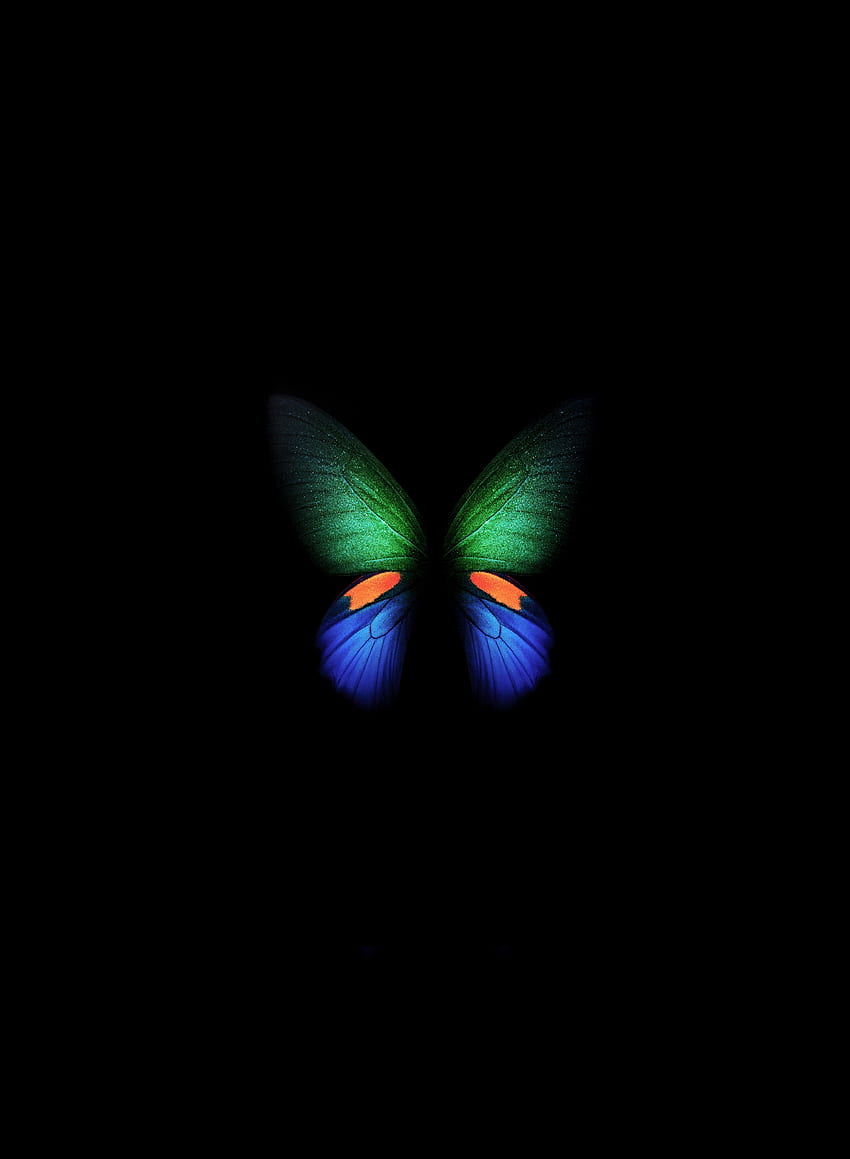 Samsung Galaxy Fold, mariposa verde-azul, mínimo, arte fondo de pantalla del teléfono