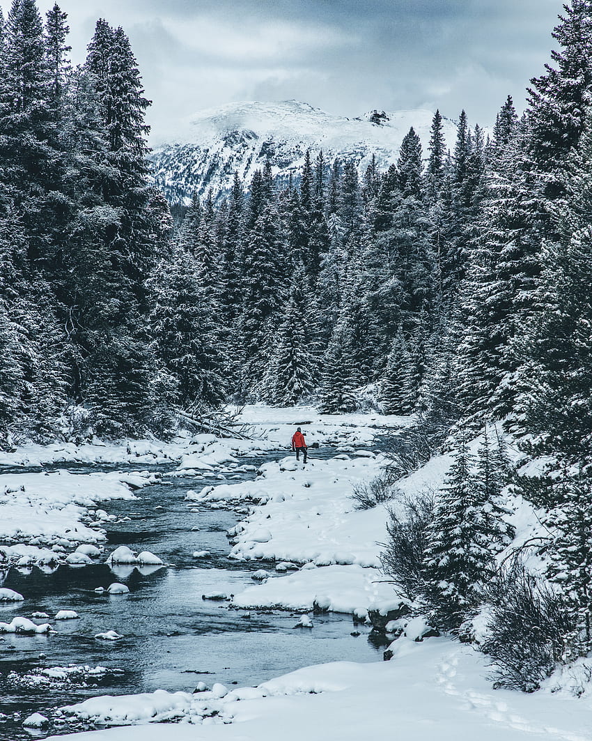 Winter, Nature, Rivers, Trees, Snow, Human, Person HD phone wallpaper