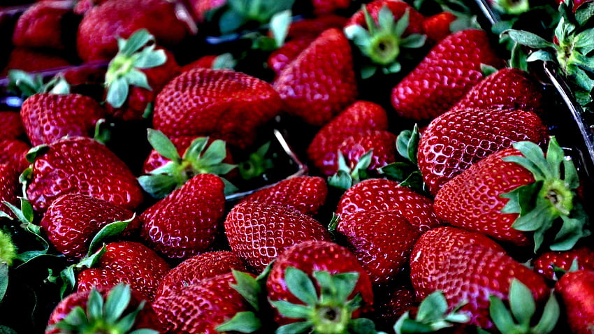 Essen, Erdbeere, Beeren, reif HD-Hintergrundbild