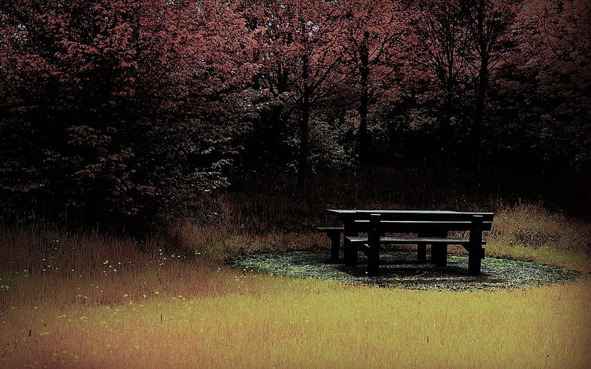 ธรรมชาติ ฤดูใบไม้ร่วง ป่า โต๊ะ ม้านั่ง โพลีอานา ทุ่งโล่ง วอลล์เปเปอร์ HD