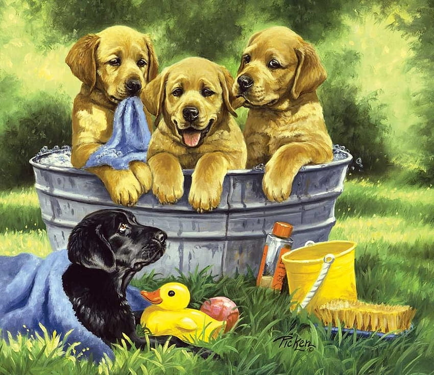 Bath time, toy, dog, duck, art, bath, summer, puppy, painting, pictura, vara, caine HD wallpaper
