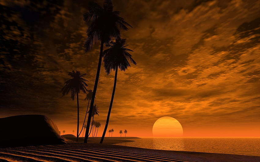 Africa, Safari Sunset HD wallpaper