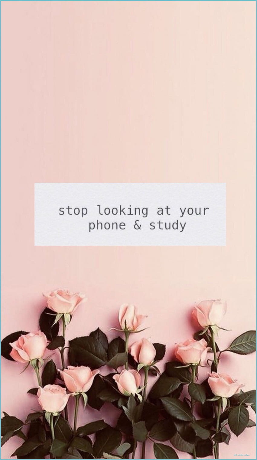 Motivação de estudo em 8 citações de inspiração de estudo - motivação de estudo Papel de parede de celular HD