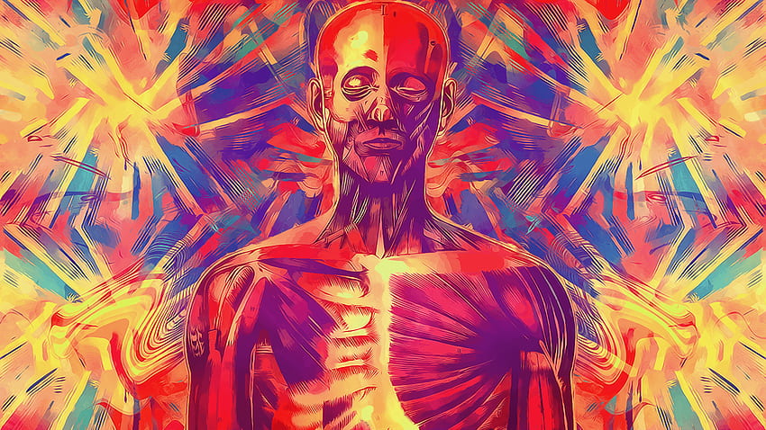 Anatomy, Tumblr Artsy HD wallpaper