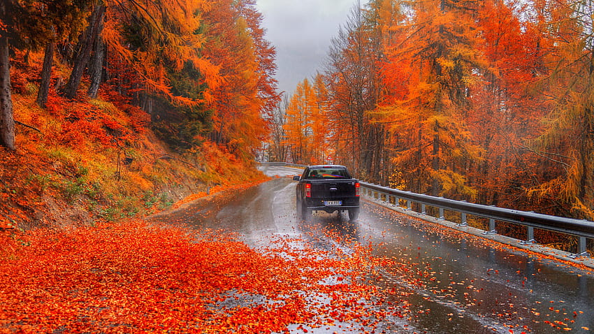 Черна кола на пътя между червени жълти зелени есенни листа дървета гора природа HD тапет