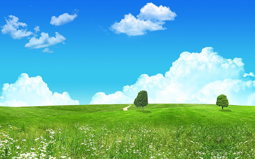 春の風景 草 干し草畑 牧草地 農村 - アニメ 緑の風景 高画質の壁紙