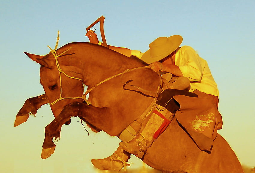 Rodeo, games, horse, brown, animals, yellow, popular, rider HD wallpaper