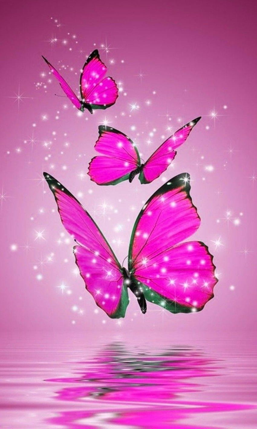 Papillons noirs et roses, papillons noirs et violets Fond d'écran de téléphone HD