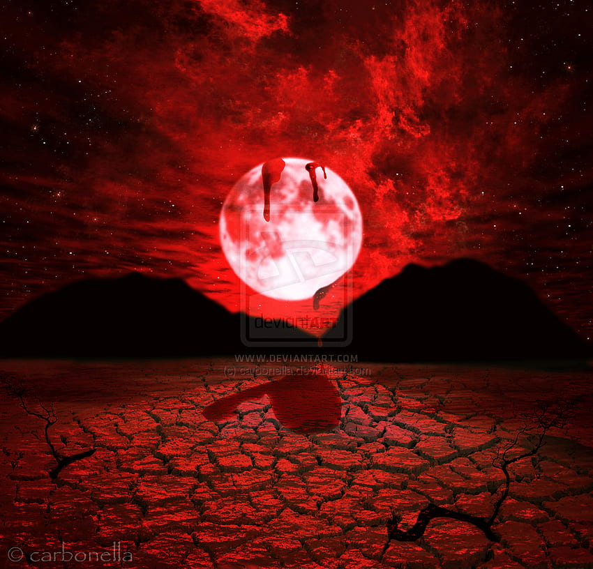 พระจันทร์สีเลือด ท้องฟ้ายามค่ำคืนพระจันทร์สีแดง วอลล์เปเปอร์ HD