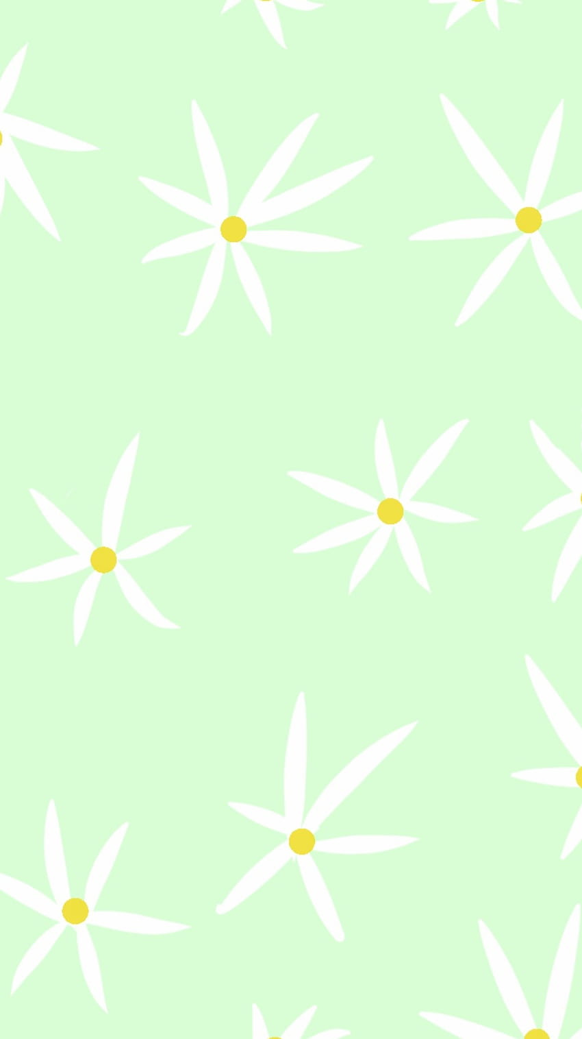 White Flowers, Aesthetic, Flower, Light Green, Dark Yellow, Green, Pretty HD phone wallpaper