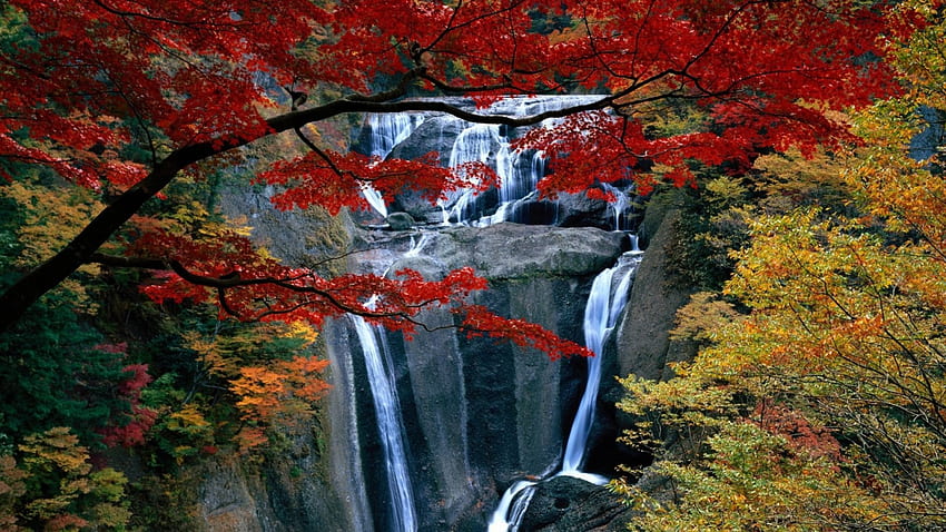 Impresionantes cascadas, blanco, montaña, plantas, cascadas, fuerzas de la naturaleza, rocas, arroyos, verde, amarillo, rojo, naturaleza fondo de pantalla