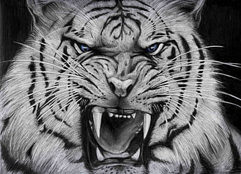 Outline Tiger Head Tattoo Design