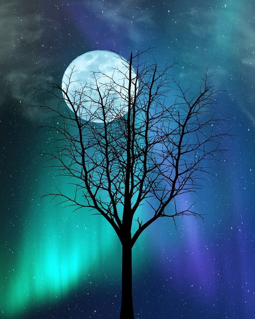 Blue Moon Teal Northern Lights Wall Art Print Pohon Bintang Langit Dekorasi Rumah. eBay pada tahun 2021. Seni dinding lampu utara, Cetakan seni, seni dinding, Bulan dan Aurora Borealis wallpaper ponsel HD