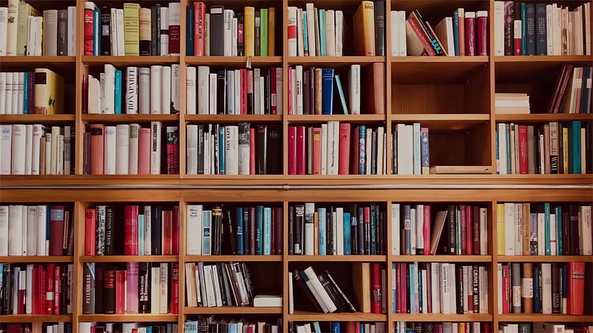 Bellissime biblioteche in tutto il mondo che ogni amante dei libri dovrebbe visitare. Viaggi + Tempo libero, Libreria Estetica Portatile Sfondo HD