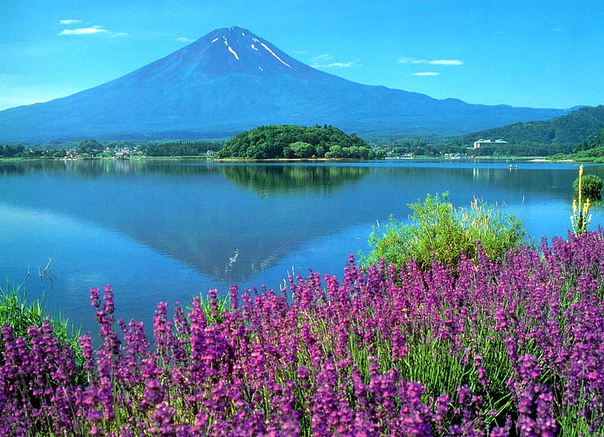 富士山-3、紫、花、春、山、湖、富士山 高画質の壁紙