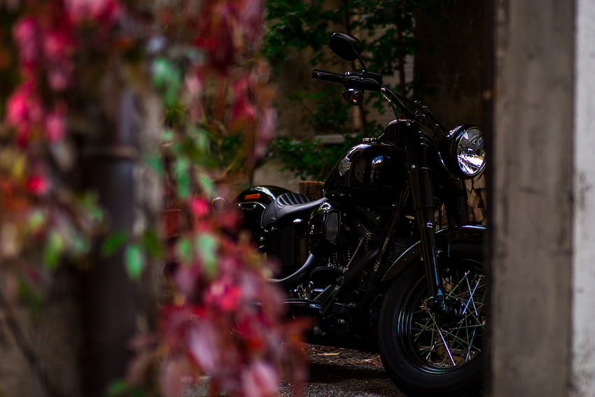 Motorcycles, Motorcycle, Steering Wheel, Rudder HD wallpaper