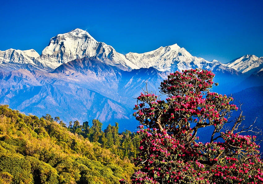 Nepals, Pokhara an der Spitze der Liste der günstigsten Reiseziele des Forbes-Magazins. Touristische Orte, Reisen nach Nepal, Nepal HD-Hintergrundbild
