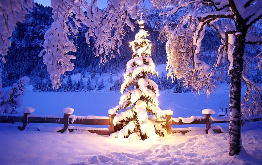 Snow Scenes, Beautiful Winter Scenes HD wallpaper | Pxfuel