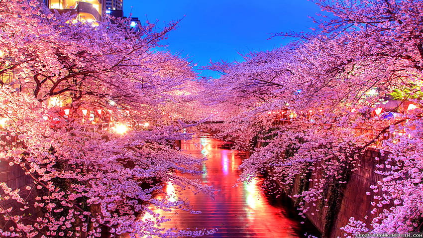 Japan, japanische Landschaft HD-Hintergrundbild
