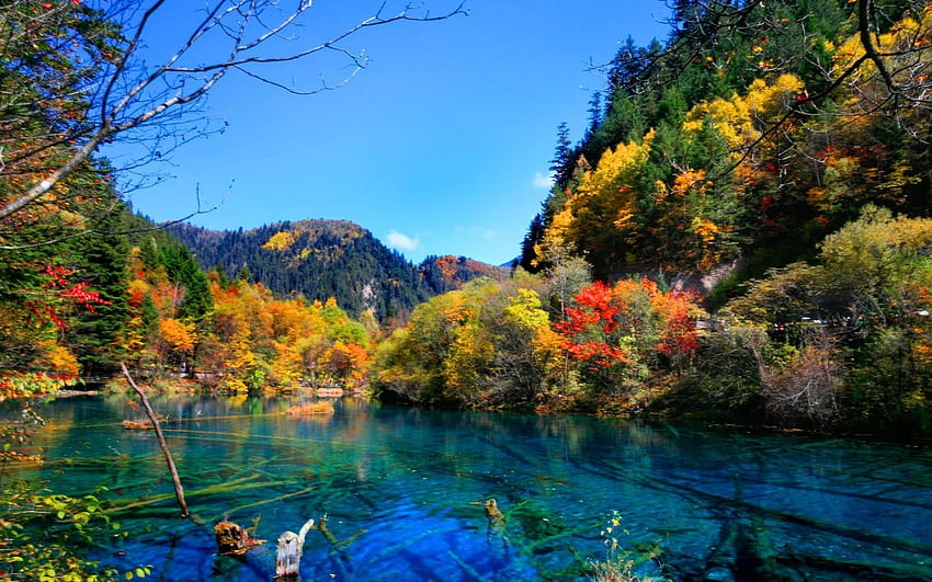 Beautiful autumn at lake, plants, lakescape, colors, scenery, trees, mountains, calm, scenario, tranquility, landscape, lake, panorama, clear water, green, nature, leaf, , lovely, blue, graphy, , serenity, early, brown, reflection, scenic, , water, 1440x900, scene, beautiful, seasons, orange, yellow, branches, sky, splendor HD wallpaper