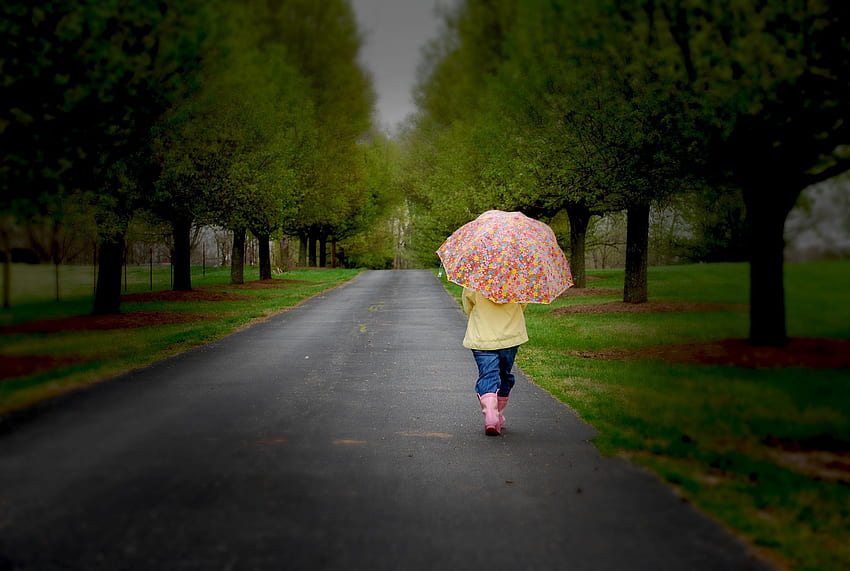 Wood, Road, Park, Tree, Stroll, Overcast, Mainly Cloudy, Umbrella HD wallpaper