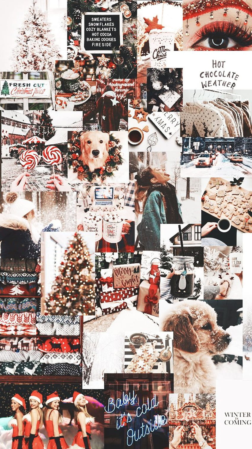 Cutie Christmas, Snowing, Aesthetic, Cute, Doggo HD phone wallpaper ...