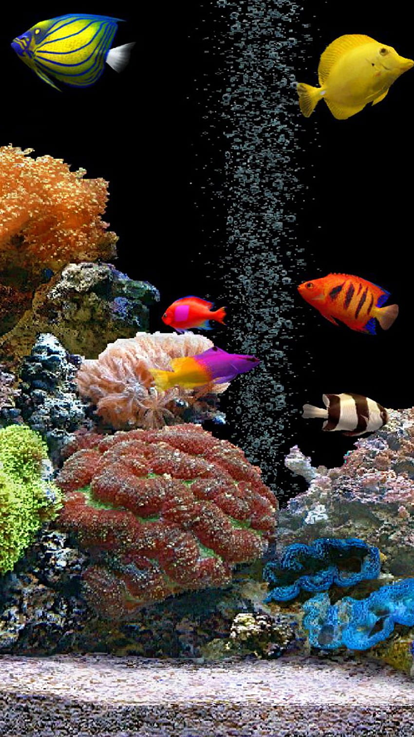 Fish Tank iPhone Background HD phone wallpaper