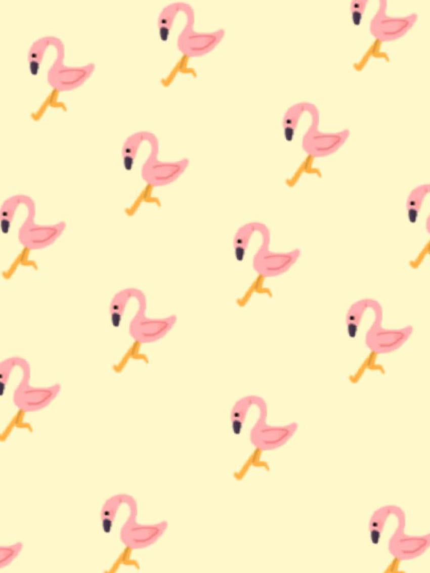 :00, Flamingo Albert HD phone wallpaper