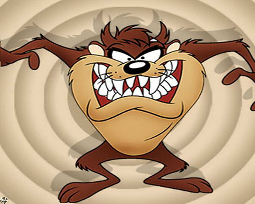 Schöne Sammlung - Tasmanian Devil Looney Tunes - -, Baby Taz HD-Hintergrundbild