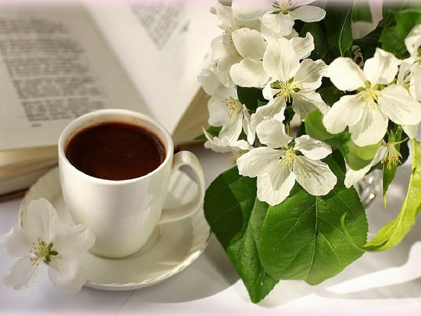 ブラック コーヒーとジャスミンの花、静物、コーヒー、花、カップ、ジャスミン 高画質の壁紙