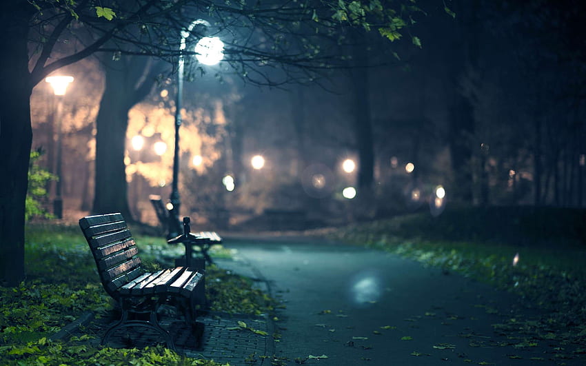 Graphy Park Bench At Night - Cool PC HD wallpaper | Pxfuel