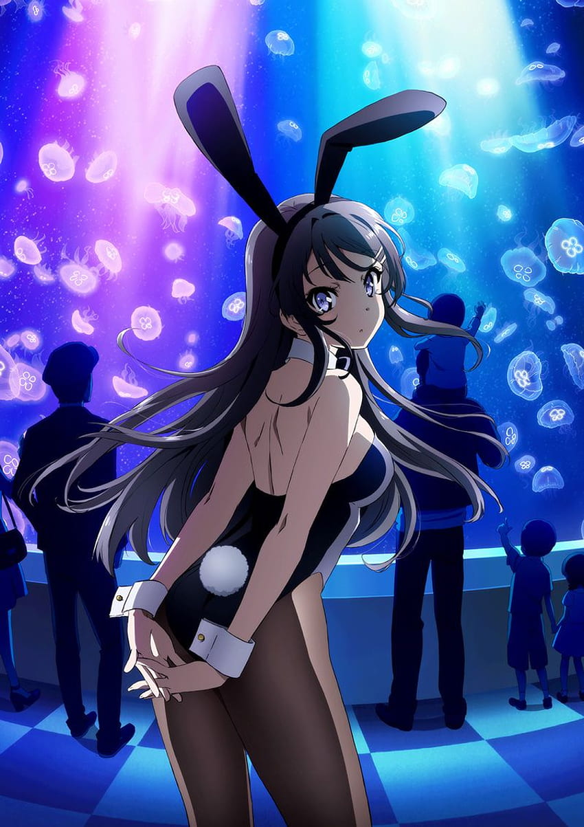 Seishun Buta Yarou wa Bunny Girl Senpai no Yume wo Minai Anime Board HD phone wallpaper