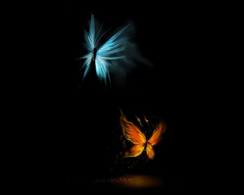 Bester Schmetterlingseffekt Schmetterling Schön HD-Hintergrundbild
