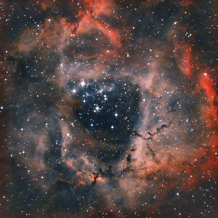 Universum, Sterne, Nebel, Galaxie, Rosettennebel, Nebelausgang HD-Handy-Hintergrundbild