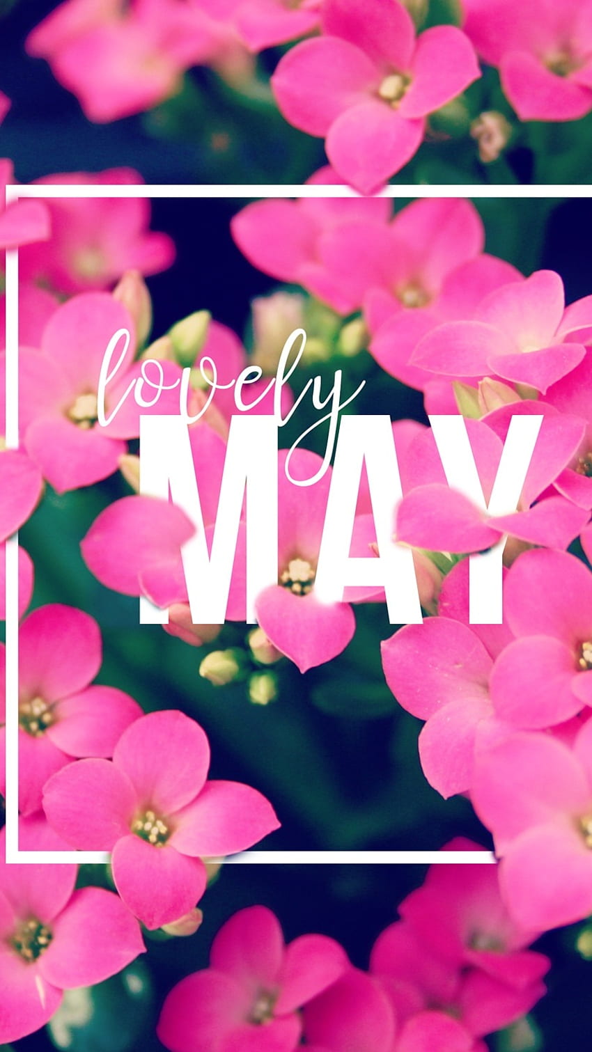 May, Lovely May HD phone wallpaper | Pxfuel