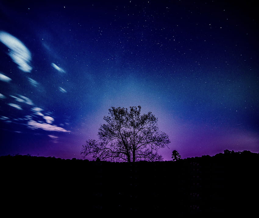 Tree, galaxy, sky, silhouette HD wallpaper