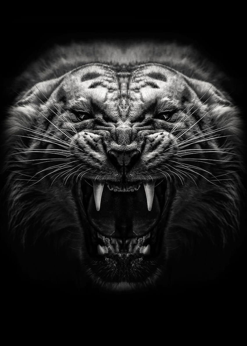 Плакат с ядосан тигър ' Печат на метален плакат - MK studio. Displate. Тигър плакат, Ядосан тигър, графика на лъв, Ядосано животно HD тапет за телефон