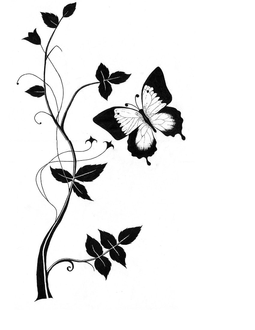 Çiçek Çizimi Üzerine Kelebek, Tek Çiçek Çizimi HD telefon duvar kağıdı