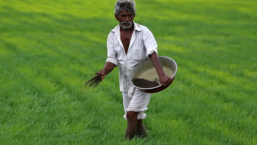 India Needs a Second Green Revolution. Council on Foreign Relations, Indian Agriculture HD wallpaper