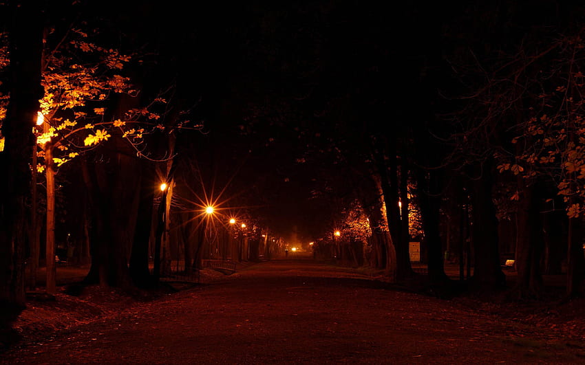 Night in the Park and - , , Autumn Night HD wallpaper