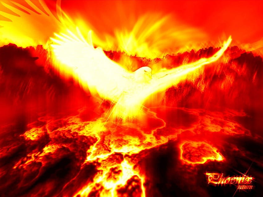 Феникс!, огнени планини, феникс, орел, 3d, топлина, червено, искра, огнена птица HD тапет