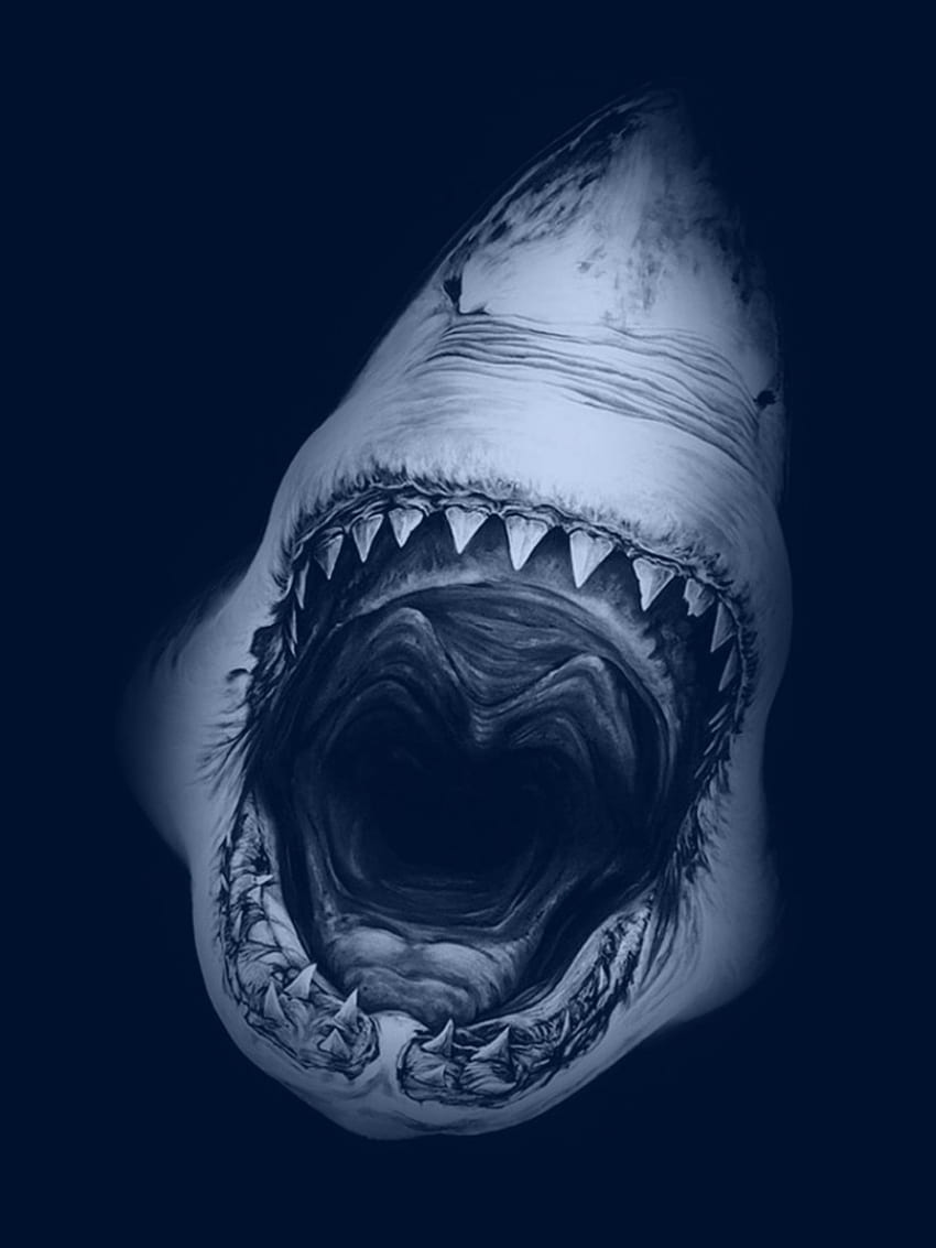 Grande Tubarão Branco iPad Papel de parede de celular HD